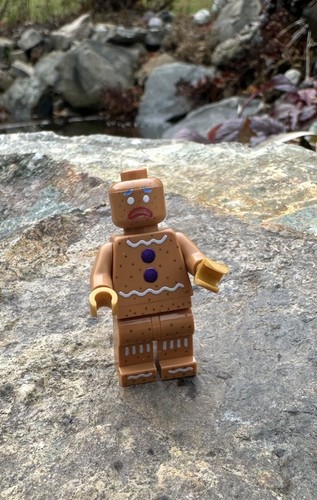 Lego shrek uomo pan - shrek,